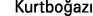 Kurtboğazı