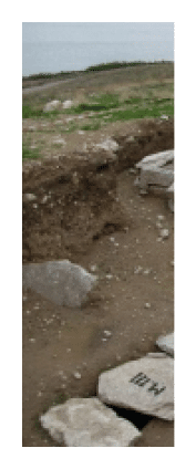 Rectangle