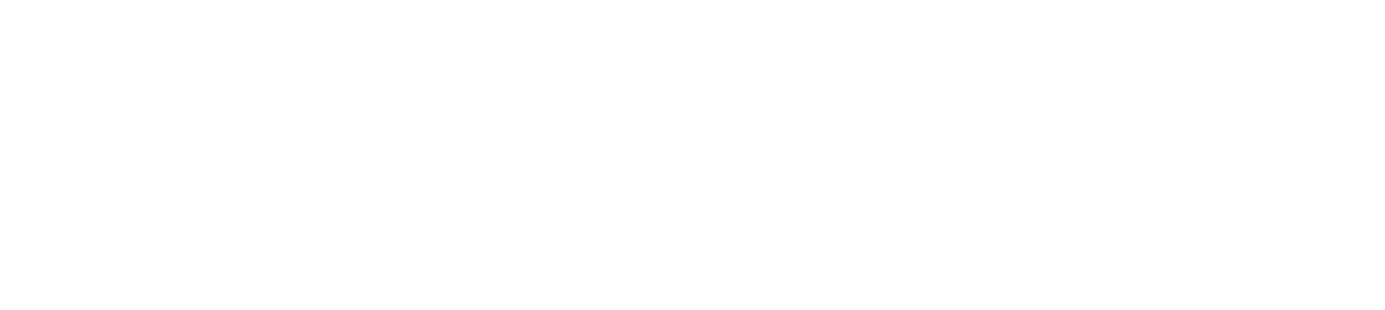 ANKARA DA ZAFER BAYRAMI