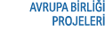 AVRUPA B RL   PROJELER  