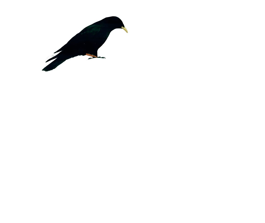 karga