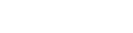  zzet TEMEL