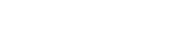  zzet TEMEL
