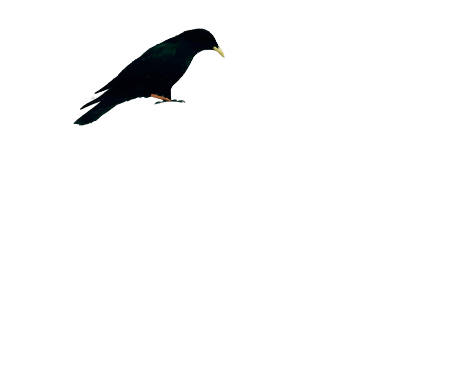 karga