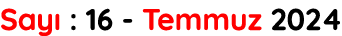 Say : 16 Temmuz 2024