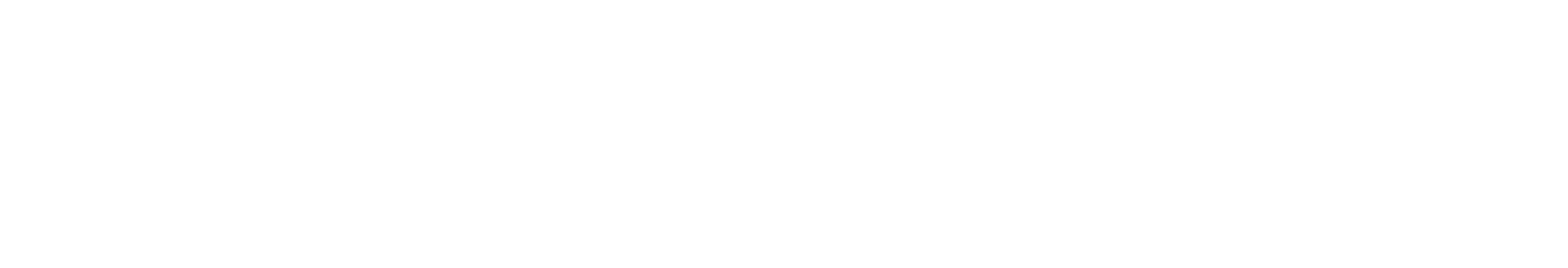 Aslan Se gin TATAR Erdal Y CEDA Turhan T Z NER