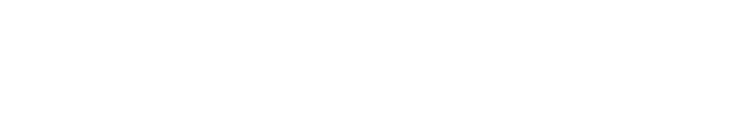 Aslan Se gin TATAR Erdal Y CEDA Turhan T Z NER