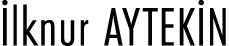  lknur AYTEK N