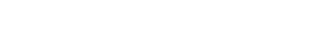 Aslan Se gin TATAR Erdal Y CEDA Turhan T Z NER