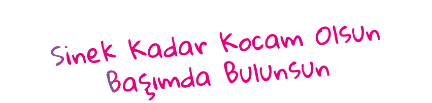 Sinek Kadar Kocam Olsun Başımda Bulunsun