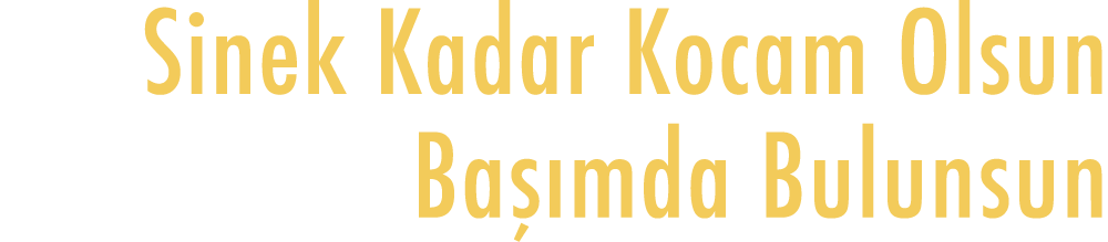 Sinek Kadar Kocam Olsun      Başımda Bulunsun