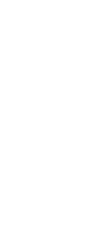  Lüksün manası herkesçe malumdur  Lüksün mukabili ziynet, pahalı bir eşya, harcı alem olmayan bir şeydir  Lakin lüküs   