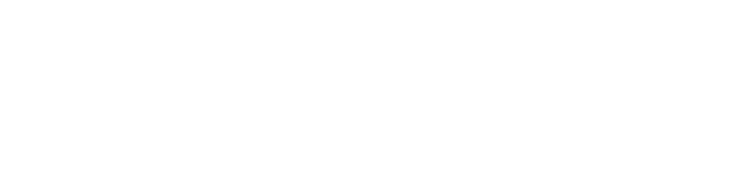GELENEKSEL TÜRK TİYATROSU