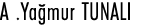 A  Yağmur TUNALI