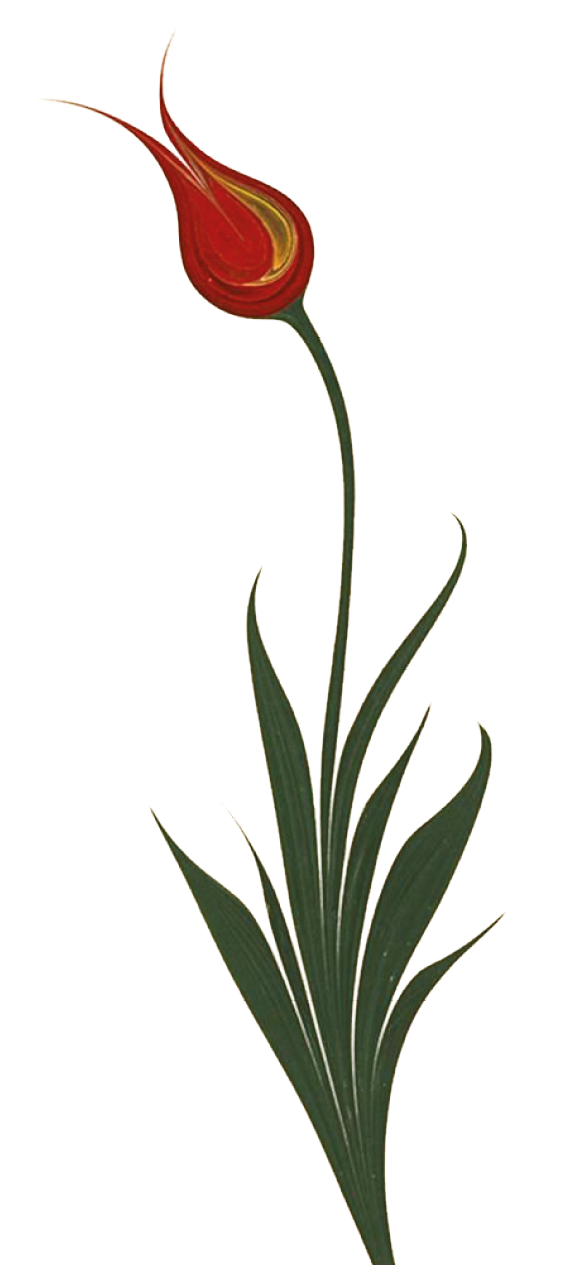 Rectangle