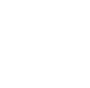 1972 Paris Ulusal Kitaplık ta sergi açtı  1975 ABD ye davet edildi  Çok sayıda Amerikalı ünlünün fotoğraflarını çeker   