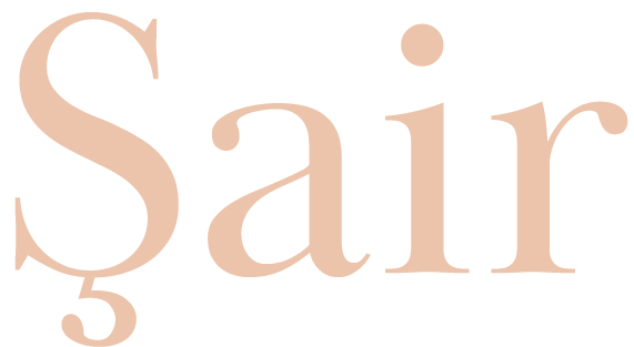 Şair