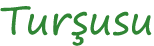Turşusu