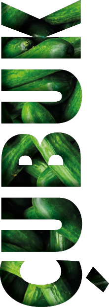 Polygon