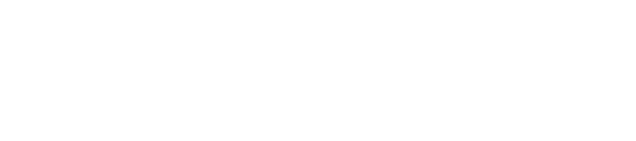 SANAT ın