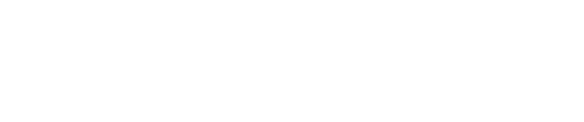 dolmuşları