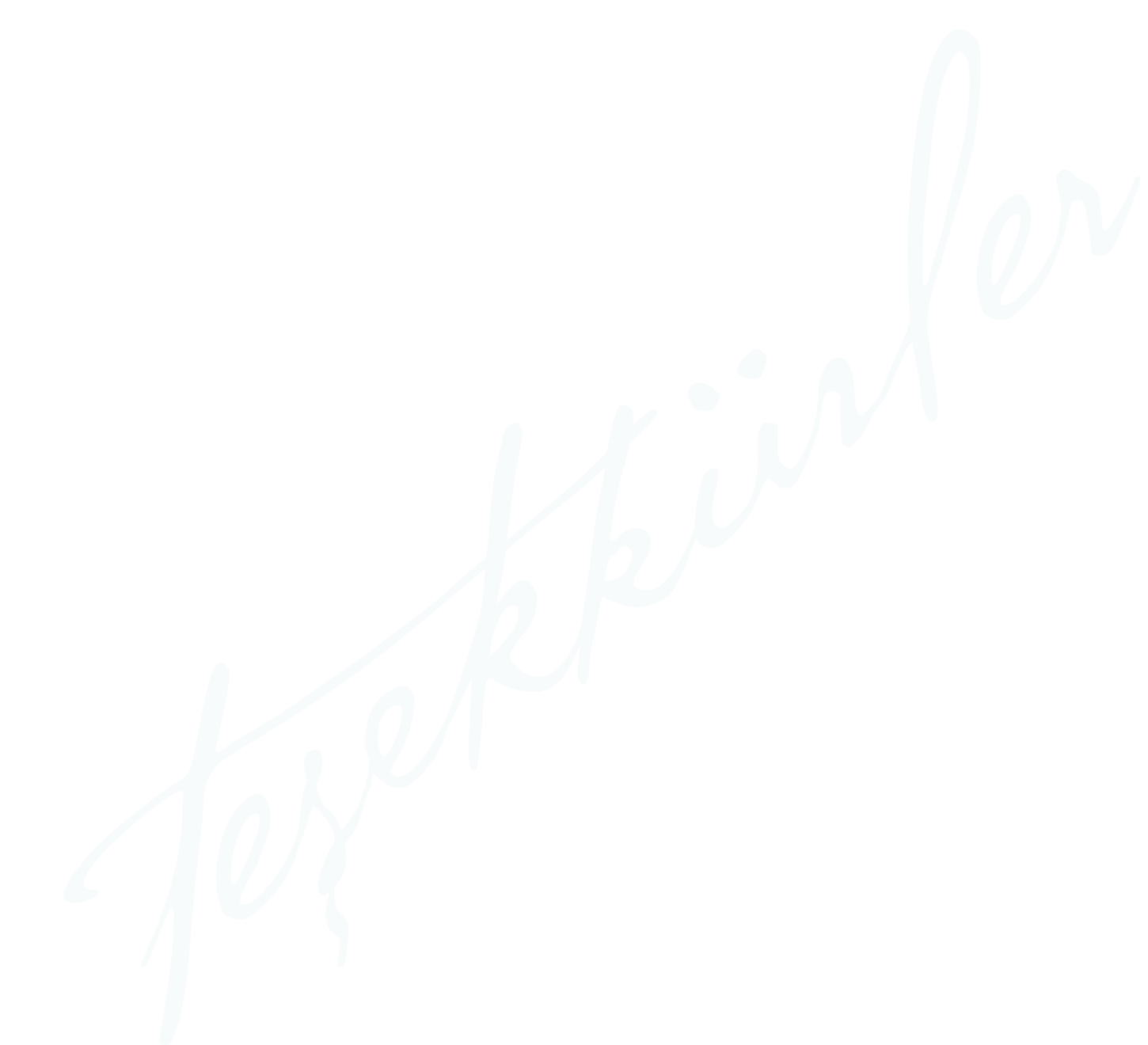 teşekkürler