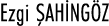 Ezgi ŞAHİNGÖZ