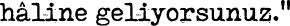 Polygon
