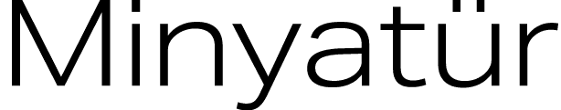 Minyatür