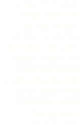 Ankara, T rkye’deki tango hayat nda, bir ok iyi okul, e itmen ve etkinlik bar nd ran bir  ehir. Hemen hemen her ak a...