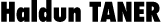 Haldun TANER