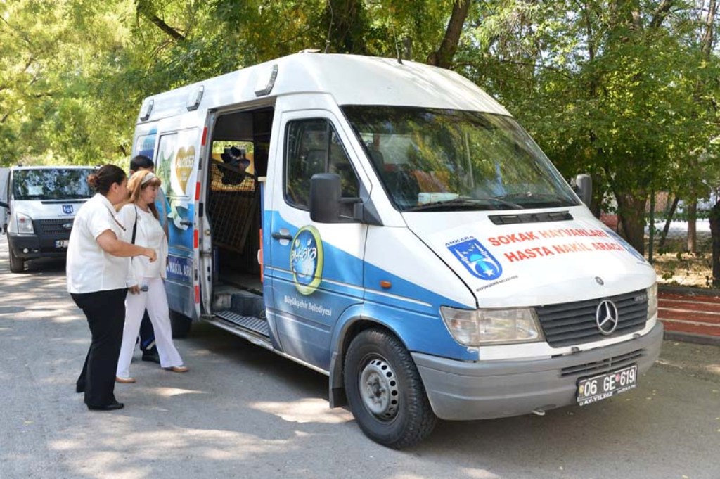 SOKAK HAYVANLARI BÜYÜKŞEHİRİN KORUMASI ALTINDA