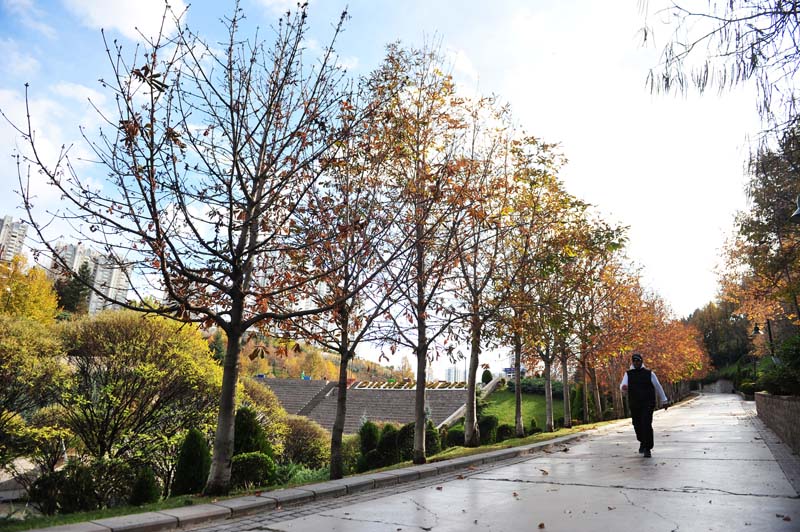 BAŞKENT PARKLARINDA GÜZ GÜZELLİĞİ
