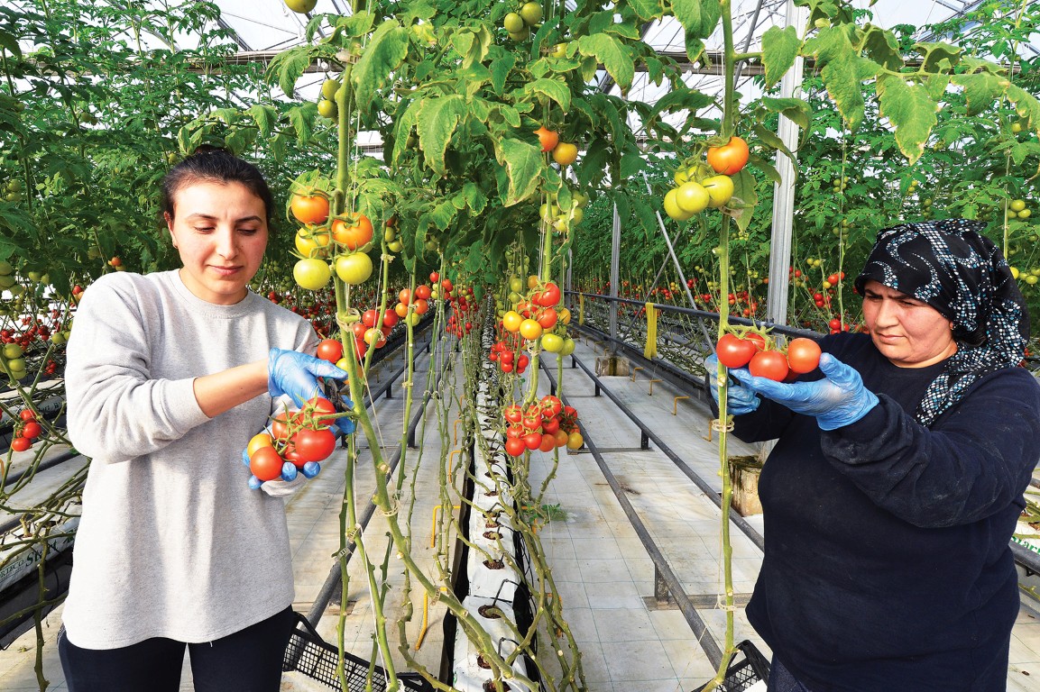 BÜYÜKŞEHİR'İN UYGULADIĞI ÖRNEK PROJE