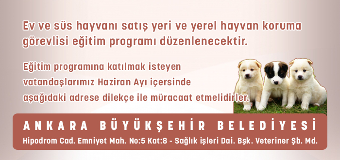 Ev ve Süs Hayvanı Satış Yeri ve Yerel Hayvan Koruma Görevlisi Eğitimi