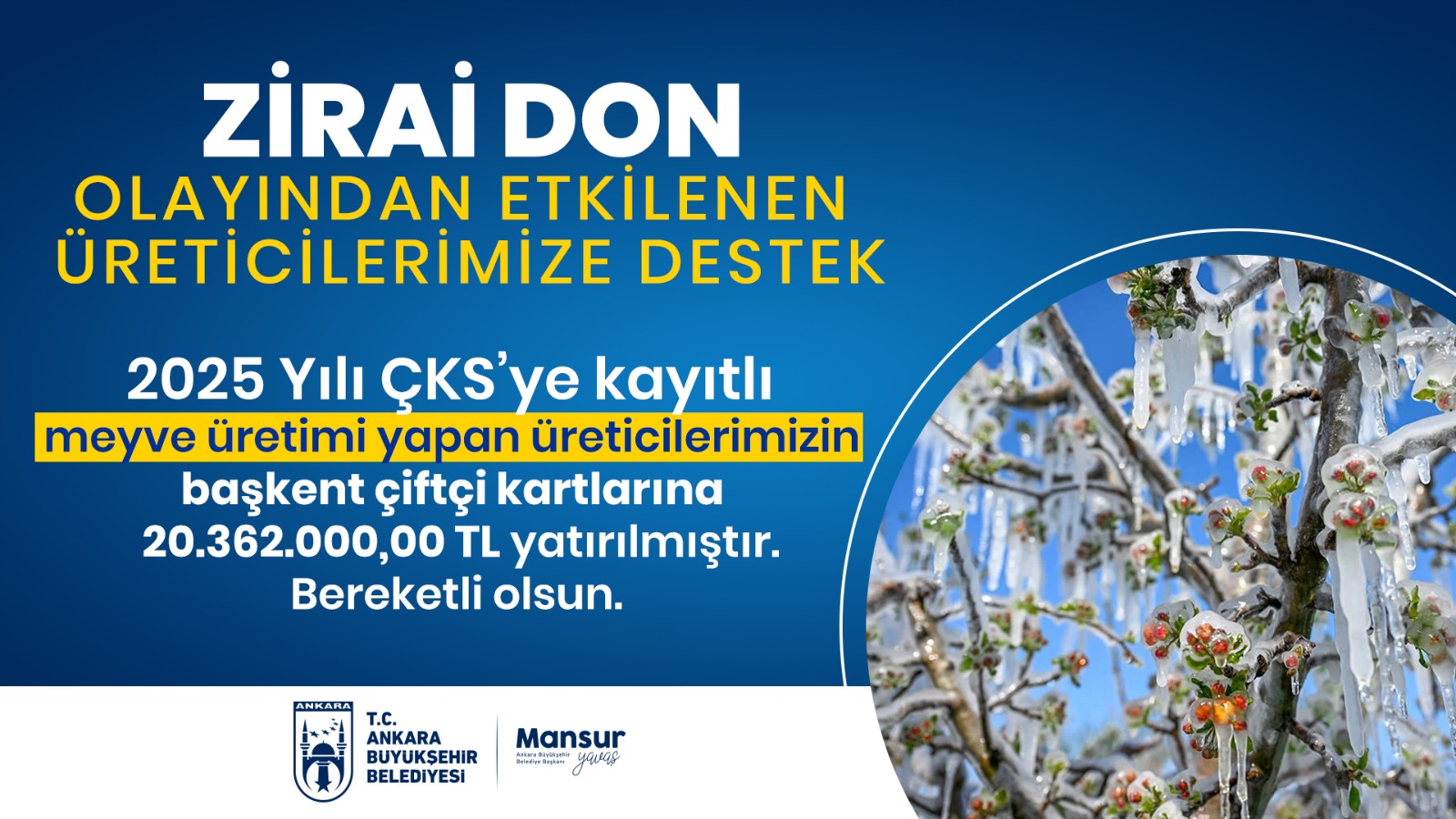 ZİRAİ DON OLAYINDAN ETKİLENEN ÜRETİCİLERİMİZE DESTEK