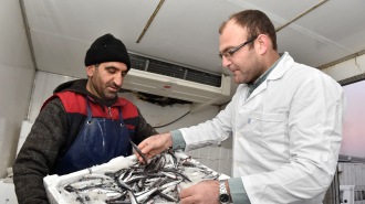 BAŞKENT'TE BALIK DENETİMLERİNE SIKI KONTROL