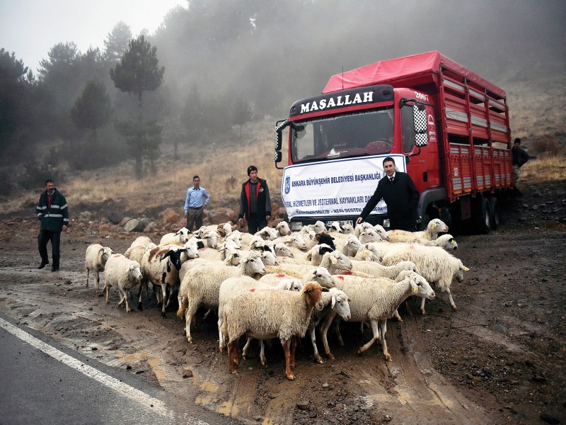 İŞTE BÜYÜKŞEHİR FARKI