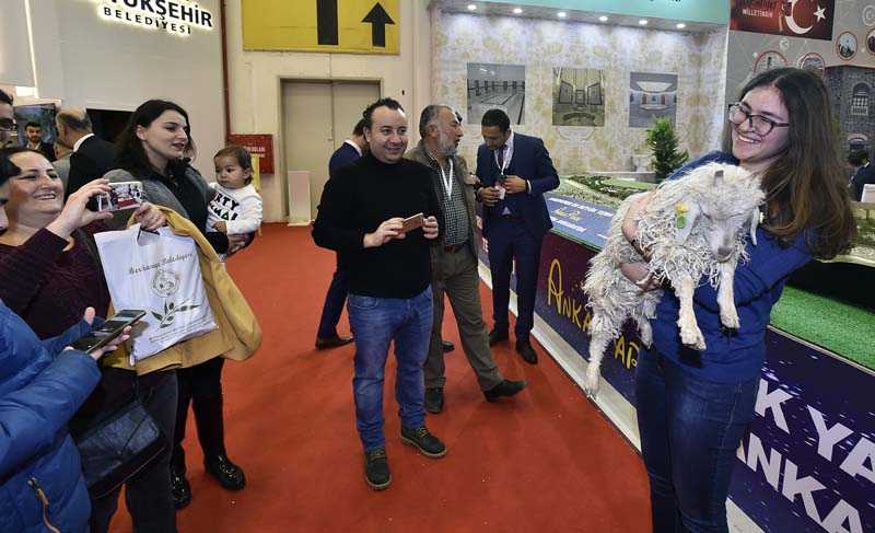 EMITT'İN GÖZDESİ, ANKARA KEÇİLERİ