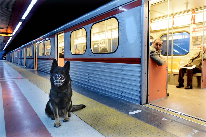 METRODA, K-9 KÖPEKLERİYLE GÜVENLİK