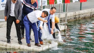 BAŞKENT GÖLLERİ 'BALIK’ ÜRETECEK
