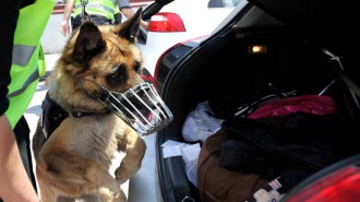 K-9 KÖPEKLERİ, AŞTİ’NİN GÖZ BEBEĞİ OLDU