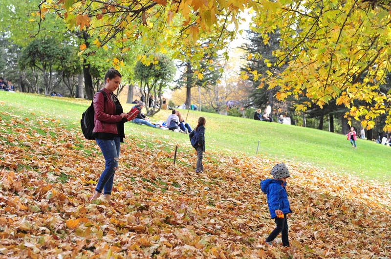 BAŞKENT PARKLARINDA GÜZ GÜZELLİĞİ