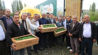BÜYÜKŞEHİR’DEN ÇİFTÇİYE, SEBZE FİDESİ DESTEĞİ