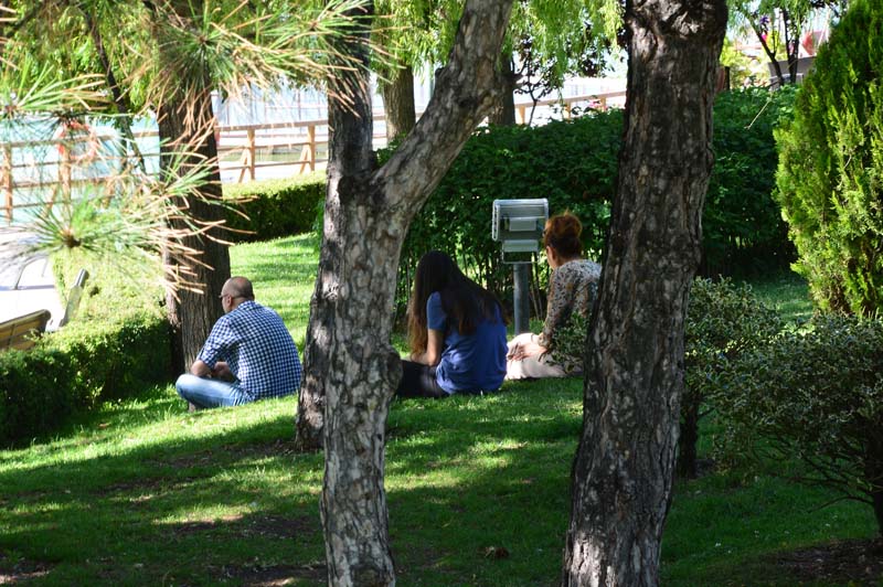 YAZ SICAKLARINDA, PARK SERİNLİĞİ