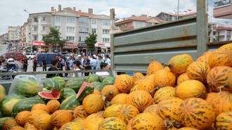 YOL KENARLARINDA KAVUN-KARPUZ UYGULAMASI