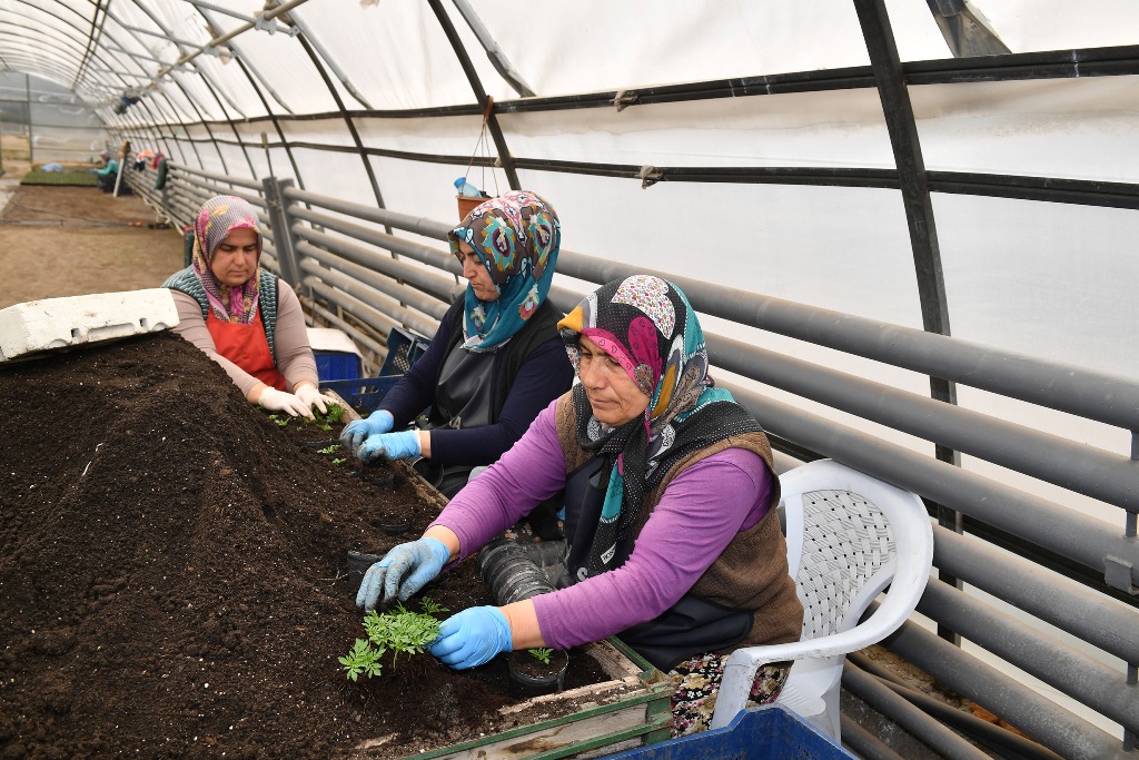 BAŞKENT’İN ÇİÇEK ÜRETİM MERKEZİ: ANFA