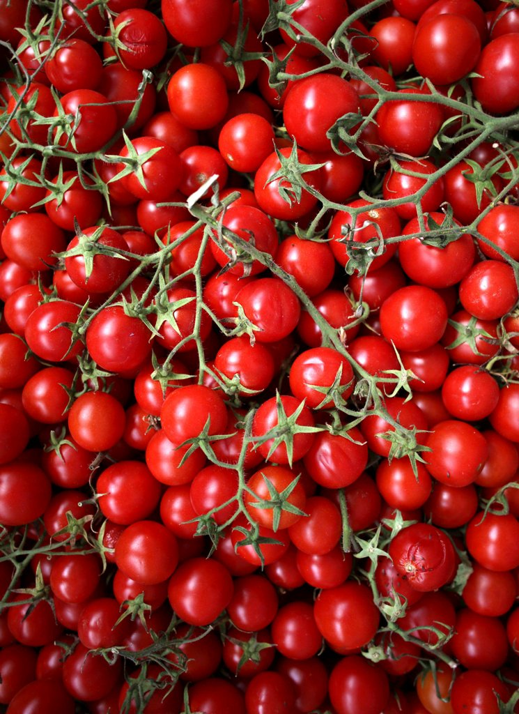 DOMATES BİRİNCİ, PATATES İKİNCİ