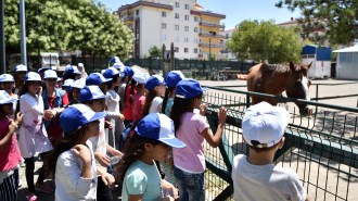 SOKAKTA ÇALIŞAN ÇOCUKLAR HAYVAN PARKI’NDA