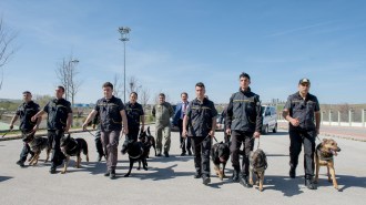 BAŞKENT K-9 KÖPEKLERİNE EMANET